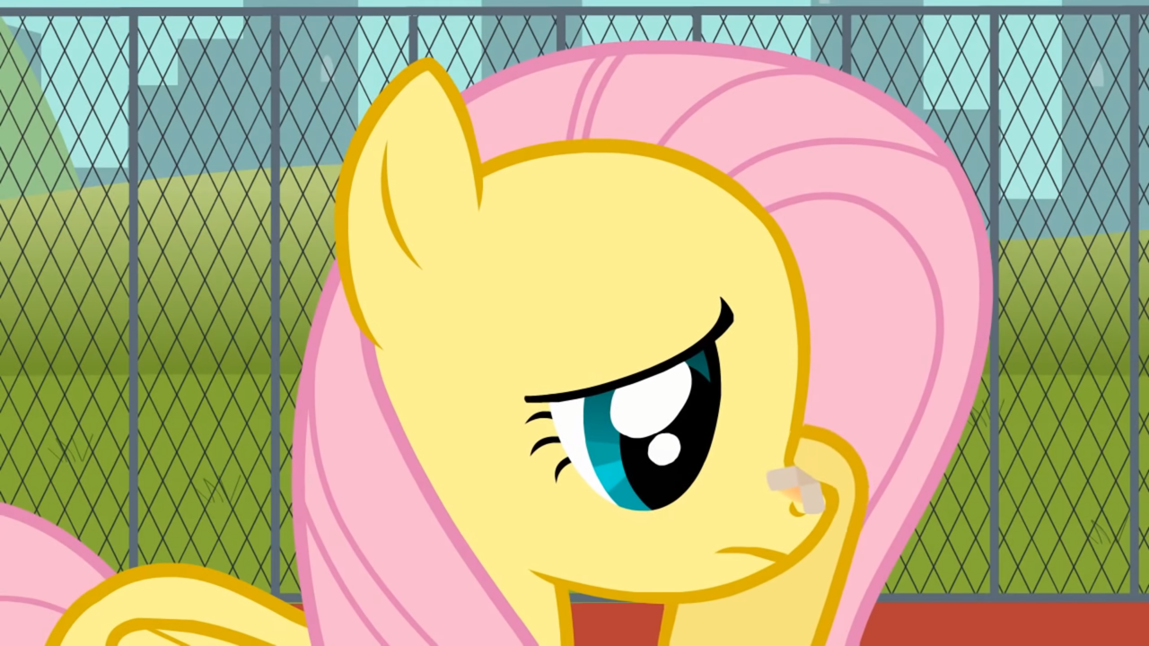 2923214 Safe Artist Agrol Fluttershy Pegasus Pony Everypony