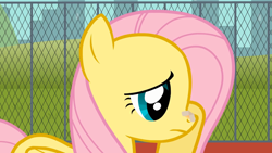 Size: 1920x1080 | Tagged: safe, artist:agrol, fluttershy, pegasus, pony, everypony plays sports games, g4, band-aid, female, fence, injured, mare, ouch, unhappy