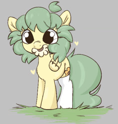 Size: 1106x1169 | Tagged: safe, artist:mushy, oc, oc only, oc:pea, pegasus, pony, aggie.io, clothes, female, filly, floppy ears, flower, foal, grass, grass field, gray background, green mane, looking at you, simple background, small wings, socks, solo, thigh highs, wings