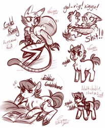 Size: 2893x3503 | Tagged: safe, artist:snowballflo, oc, oc only, abyssinian, cat, earth pony, pony, :p, bag, chest fluff, earth pony oc, high res, holding a pony, signature, sketch, sketch dump, smiling, tongue out, unshorn fetlocks