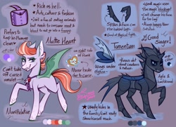 Size: 2735x1985 | Tagged: safe, artist:snowballflo, oc, oc only, unnamed oc, bat pony, changeling, pony, bag, bat pony oc, bat wings, changeling oc, duo, eddsworld, grin, high res, raised eyebrow, raised hoof, reference sheet, saddle bag, smiling, smirk, spread wings, wings