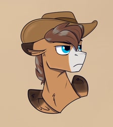 Size: 1201x1349 | Tagged: safe, artist:rutkotka, oc, oc only, pegasus, pony, commission, cowboy hat, hat, simple background, solo, tan background, ych result