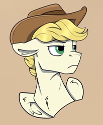 Size: 1025x1249 | Tagged: safe, artist:rutkotka, oc, oc only, pegasus, pony, commission, cowboy hat, hat, simple background, solo, tan background, ych result