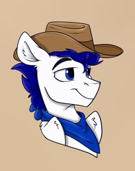 Size: 1141x1449 | Tagged: safe, artist:rutkotka, oc, oc only, pegasus, pony, commission, cowboy hat, hat, simple background, solo, tan background, ych result