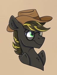 Size: 1117x1445 | Tagged: safe, artist:rutkotka, oc, oc only, pegasus, pony, commission, cowboy hat, glasses, hat, simple background, solo, tan background, ych result