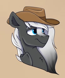 Size: 1145x1381 | Tagged: safe, artist:rutkotka, oc, oc only, pegasus, pony, commission, cowboy hat, hat, simple background, solo, tan background, ych result