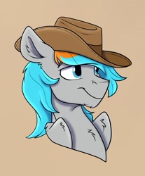 Size: 1145x1381 | Tagged: safe, artist:rutkotka, oc, oc only, oc:shade flash, pegasus, pony, commission, cowboy hat, hat, simple background, solo, tan background, ych result