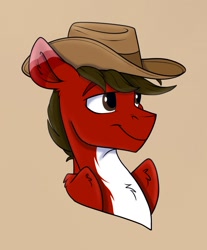 Size: 1145x1381 | Tagged: safe, artist:rutkotka, oc, oc only, pegasus, pony, commission, cowboy hat, hat, simple background, solo, tan background, ych result