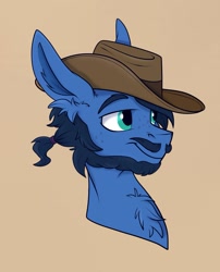 Size: 1197x1481 | Tagged: safe, artist:rutkotka, oc, oc only, pony, commission, cowboy hat, hat, simple background, solo, tan background, ych result