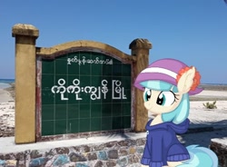 Size: 548x404 | Tagged: safe, artist:cyanlightning, edit, coco pommel, earth pony, pony, g4, burmese, coco islands, hat, irl, myanmar, photo, ponies in real life, pun