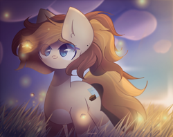 Size: 2400x1900 | Tagged: safe, artist:miryelis, oc, oc only, earth pony, pony, cloud, field, firebug, gradient hooves, sky, smiling, solo, standing, sunset, windswept mane