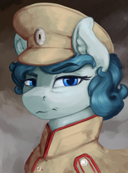 Size: 1560x2100 | Tagged: source needed, useless source url, safe, artist:kelkessel, oc, oc only, oc:alesia snezhnaya, earth pony, pony, equestria at war mod, clothes, female, looking at you, military uniform, russian empire, solo, unamused, uniform