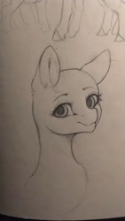 Size: 1152x2048 | Tagged: safe, artist:miokomata, pony, bald, bust, looking at you, pencil drawing, sketch, smiling, smiling at you, solo, traditional art