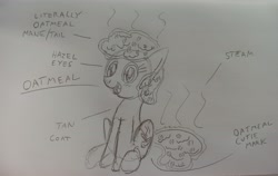 Size: 4160x2631 | Tagged: safe, anonymous artist, oc, oc:oatmeal, earth pony, pony, 4chan, female, food, mare, monochrome, oatmeal, oats, open mouth, pencil drawing, reference sheet, smiling, traditional art