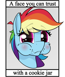 Size: 4134x4908 | Tagged: safe, alternate version, artist:dacaoo, rainbow dash, pegasus, pony, g4, blatant lies, bust, cookie thief, eye clipping through hair, eyebrows, eyebrows visible through hair, portrait, text, this will end in colic