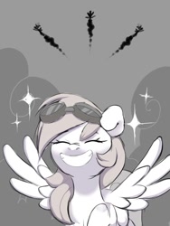 Size: 900x1200 | Tagged: safe, artist:shiny-dust, rainbow dash, pegasus, pony, g4, eyes closed, female, goggles, grin, mare, monochrome, smiling, solo focus, wonderbolts