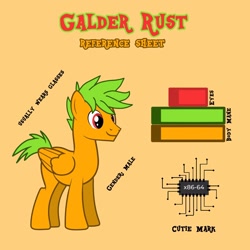 Size: 1920x1920 | Tagged: safe, artist:jamextreme140, oc, oc:galder rust, pegasus, pony, cuntboy, cuntboy oc, description, intersex, reference sheet, story included