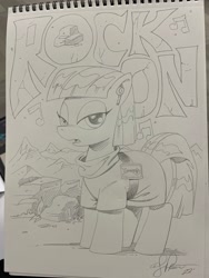Size: 1536x2048 | Tagged: safe, artist:andy price, maud pie, earth pony, pony, g4, female, mare, pencil drawing, rock, traditional art