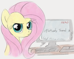 Size: 807x645 | Tagged: safe, artist:dotkwa, fluttershy, pegasus, pony, g4, computer, female, frown, looking at you, looking back, looking back at you, mare, monitor, simple background, solo, upset, white background