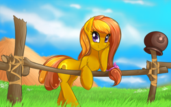 Size: 1680x1050 | Tagged: safe, artist:malifikyse, oc, oc only, oc:honey ella, earth pony, pony, cute, earth pony oc, female, fence, grass, looking at you, mare, smiling, solo