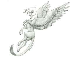 Size: 1500x1192 | Tagged: safe, artist:baron engel, gilda, griffon, female, flying, grayscale, monochrome, pencil drawing, simple background, solo, traditional art, white background