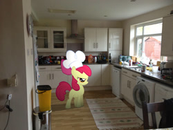 Size: 1032x774 | Tagged: safe, artist:pangbot, artist:shelltoon, apple bloom, earth pony, pony, 2012, chef's hat, female, filly, foal, hat, irl, kitchen, photo, ponies in real life, solo