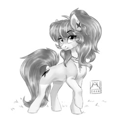 Size: 1024x1024 | Tagged: safe, artist:bluefeathercat, oc, oc only, earth pony, pony, female, mare, monochrome, simple background, solo, white background