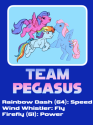 Size: 269x362 | Tagged: safe, editor:4-chap, firefly, rainbow dash, wind whistler, pegasus, pony, g1, g4, crossover, female, g4 to g1, generation leap, mare, multicolored hair, rainbow hair, smiling, sonic heroes, sonic the hedgehog (series), spread wings, team, text, wings