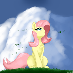 Size: 2048x2048 | Tagged: safe, artist:leoliu0491, fluttershy, pegasus, pony, g4, chest fluff, cloud, female, grass, high res, leaves, looking up, mare, outdoors, peaceful, signature, sitting, smiling, solo, three quarter view