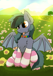 Size: 2893x4092 | Tagged: safe, artist:monycaalot, oc, oc only, oc:scrimmy, bat pony, pony, :p, bat pony oc, bat wings, chest fluff, clothes, collar, commission, eye clipping through hair, fangs, femboy, flower, grass, grass field, heart, heterochromia, male, sitting, socks, solo, spread wings, striped socks, tongue out, tree, wings