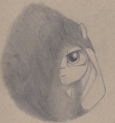 Size: 1737x1845 | Tagged: safe, artist:foxtrot3, oc, oc only, earth pony, pony, contrast, female, mare, shadow, solo, traditional art