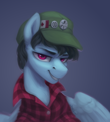 Size: 1800x2000 | Tagged: safe, artist:jewellier, oc, oc only, oc:leo hawk, pegasus, pony, bust, canadian flag, cap, clothes, commission, hat, looking at you, male, plaid shirt, portrait, shirt, simple background, solo, stallion