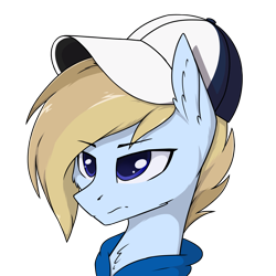Size: 3000x3000 | Tagged: safe, artist:danger_above, oc, oc only, oc:terncode, pegasus, pony, bust, cap, clothes, eyebrows, eyebrows visible through hair, frown, hat, high res, pegasus oc, simple background, solo, transparent background