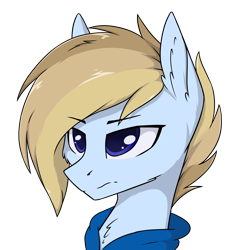 Size: 3000x3000 | Tagged: safe, artist:danger_above, oc, oc only, oc:terncode, pegasus, pony, bust, clothes, eyebrows, eyebrows visible through hair, frown, high res, pegasus oc, simple background, solo, transparent background