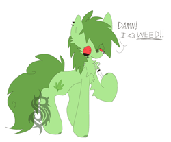 Size: 3328x2756 | Tagged: safe, oc, oc only, oc:stoney poney, bloodshot eyes, chest fluff, drugs, green hair, hair over one eye, high, high res, marijuana, red eyes, simple background, smoking, solo, stoned, white background