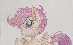 Size: 2170x1336 | Tagged: safe, alternate version, artist:ponywarlord777, scootaloo, pegasus, pony, g4, anime, blush sticker, blushing, frown, solo, traditional art