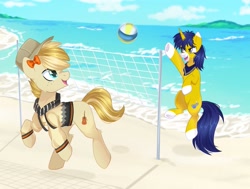 Size: 1765x1331 | Tagged: safe, artist:arllistar, oc, oc:seigwestwood, oc:swell, earth pony, pony, unicorn, bandana, beach, bow, clothes, commission, hair bow, hat, hoodie, island, ocean, sports, volleyball, volleyball net, water, ych result