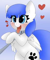 Size: 2489x3000 | Tagged: safe, artist:pegamutt, oc, oc:snow pup, pegasus, pony, behaving like a dog, blushing, collar, commission, happy, heart, high res, leash, open mouth, panting, pet play, simple background, tongue out, ych result