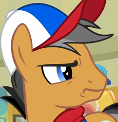 Size: 684x706 | Tagged: safe, screencap, quibble pants, earth pony, pony, common ground, g4, season 9, accessory, angry, close-up, cropped, grumpy, hat, implied rainbow dash, male, reaction image, solo, stallion