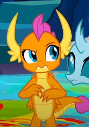 Size: 446x635 | Tagged: safe, screencap, ocellus, smolder, changedling, changeling, dragon, g4, uprooted, cropped, dragoness, female, raised eyebrow, solo focus