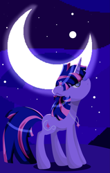 Size: 2021x3187 | Tagged: safe, artist:lindasaurie, twilight sparkle, pony, unicorn, g4, hair accessory, high res, jewelry, lineless, moon, necklace, night, night sky, redesign, sky, solo, unicorn twilight