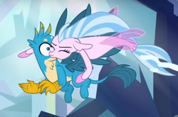 Size: 662x436 | Tagged: safe, screencap, gallus, silverstream, griffon, seapony (g4), g4, what lies beneath, cropped, duo, seapony silverstream, tackle hug
