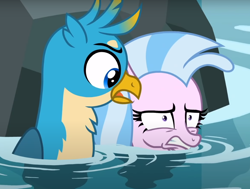 Size: 980x740 | Tagged: safe, screencap, gallus, silverstream, griffon, seapony (g4), g4, what lies beneath, cropped, duo, seapony silverstream