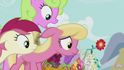 Size: 1920x1080 | Tagged: safe, screencap, daisy, flower wishes, lily, lily valley, roseluck, earth pony, pony, g4, season 5, slice of life (episode), female, flower, flower trio, mare