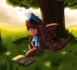 Size: 1750x1600 | Tagged: safe, artist:yuris, oc, oc only, oc:autumn rosewood, pegasus, pony, beret, book, clothes, field, grass, grass field, hat, male, pegasus oc, scarf, solo, sun, tail, tree, wings, wood