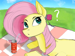 Size: 2160x1620 | Tagged: safe, artist:lumo_xu, fluttershy, pegasus, pony, g4, looking at you, picnic, question mark, sky, soda, solo