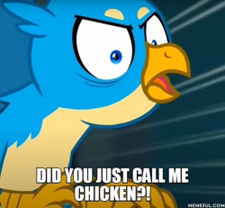 Size: 600x554 | Tagged: safe, edit, edited screencap, screencap, gallus, griffon, g4, uprooted, angry, bags under eyes, beak, caption, gallus the rooster, gallusposting, image macro, meme, memeful.com, open beak, open mouth, solo, text