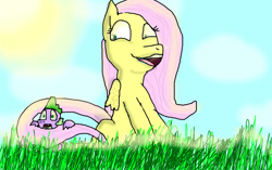 Size: 1129x708 | Tagged: safe, artist:terradragonisava, fluttershy, spike, dragon, pegasus, pony, g4, :y, cloud, duo, female, giant pony, giantess, giantshy, grass, macro, male, mare, shocked, size difference, sky, smiling, story included, sun