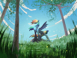 Size: 2160x1620 | Tagged: safe, artist:lendftcn, rainbow dash, pegasus, pony, g4, chest fluff, female, film grain, grass, mare, sky, solo, spread wings, tree, wings