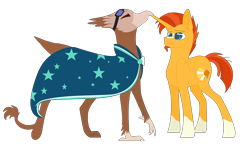 Size: 6784x4104 | Tagged: safe, artist:snows-doodles, sunburst, oc, oc:suban, griffon, pony, unicorn, g4, accessory swap, cloak, clothes, goggles, griffon oc, shipping, simple background, strutting, sunburst's cloak, transparent background